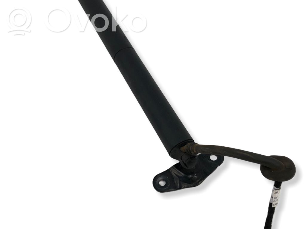 Audi Q2 - Tailgate strut 