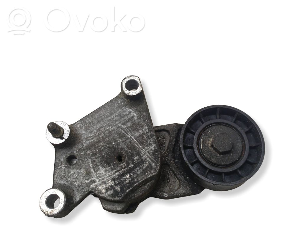 Diržo įtempėjas   TF049