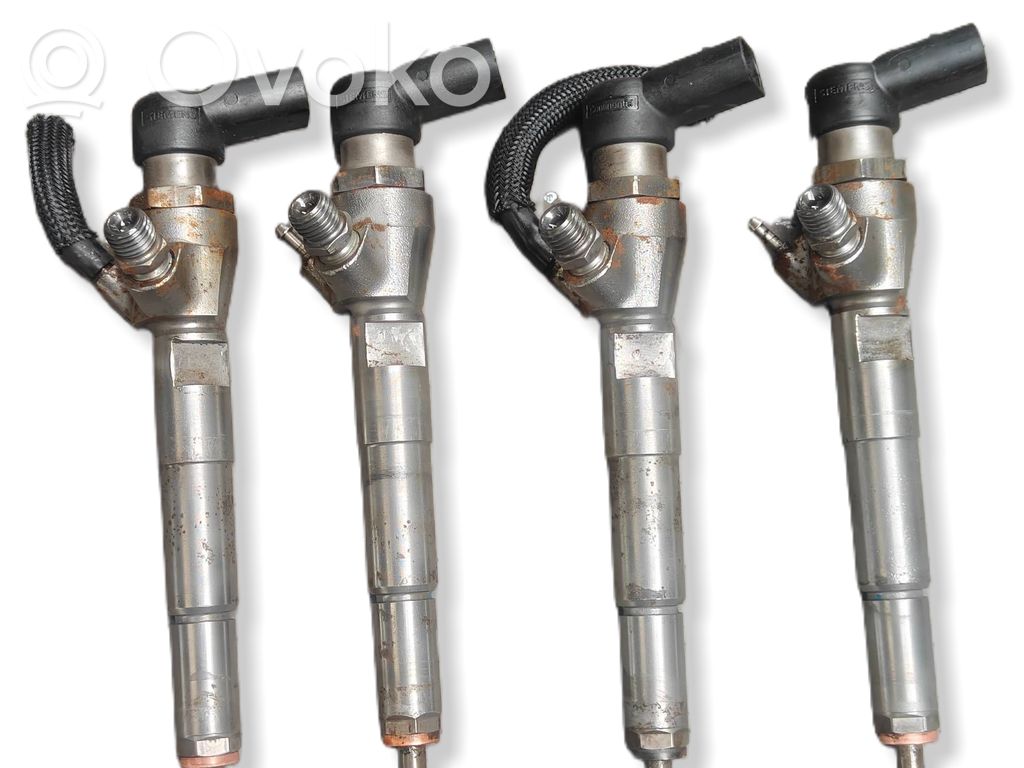 Renault Megane III Fuel injector 