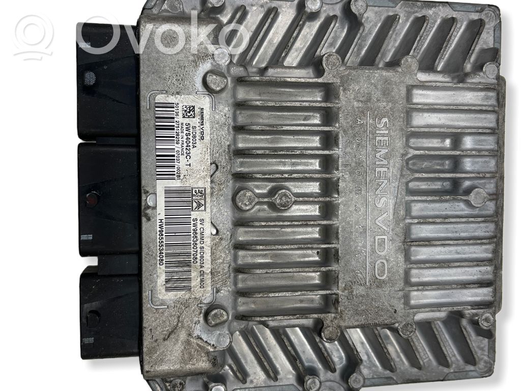 Peugeot 407 Engine control unit/module 