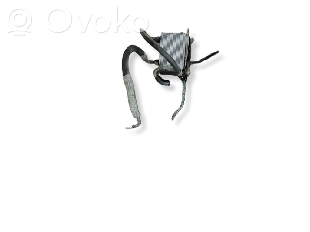 Volkswagen Phaeton Engine oil radiator 