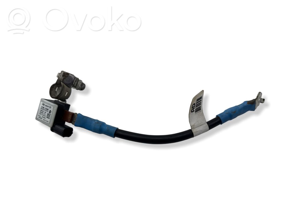 KIA EV6 Cable negativo de tierra (batería) 