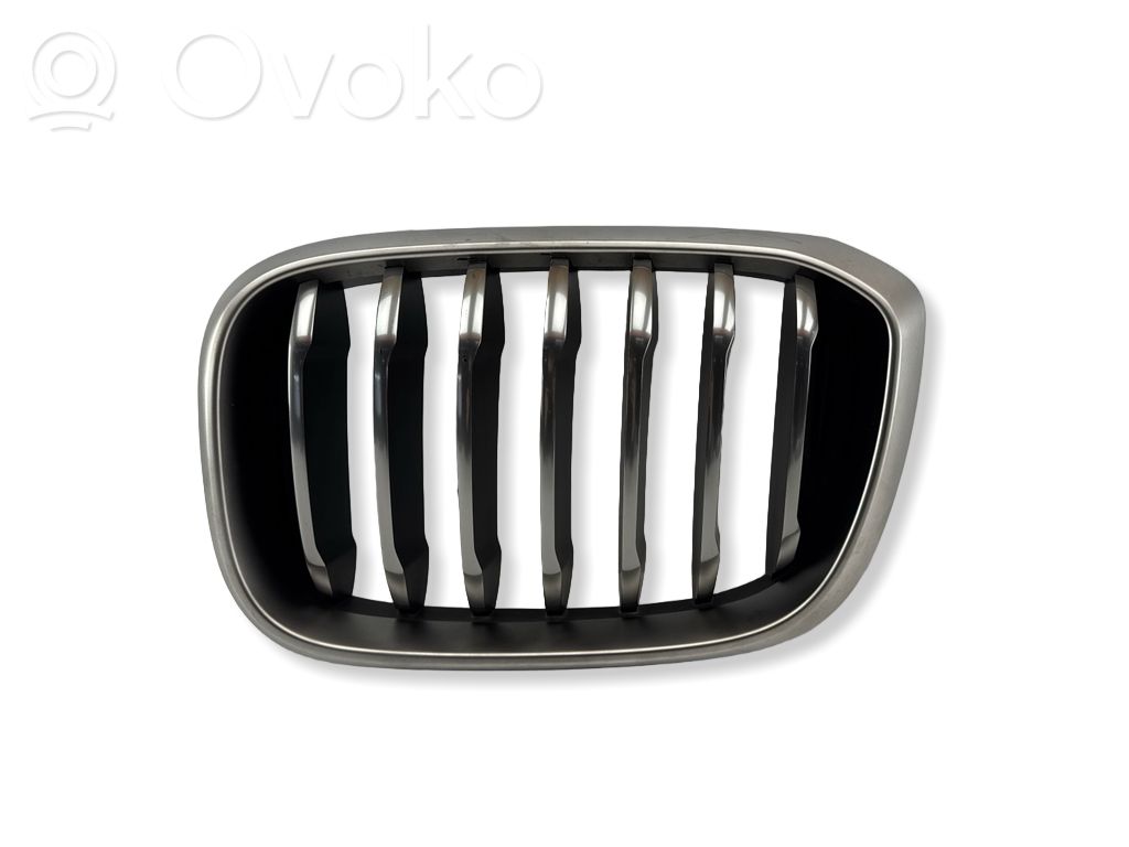 BMW X3 G01 Front grill 