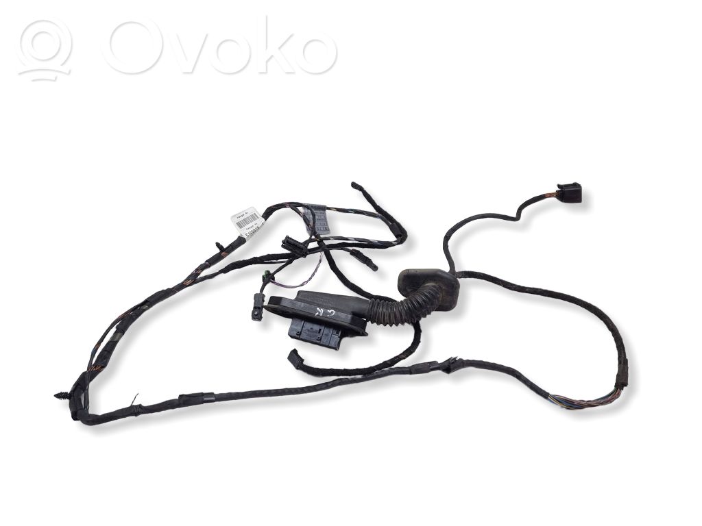BMW 5 E60 E61 Cableado de puerta trasera 