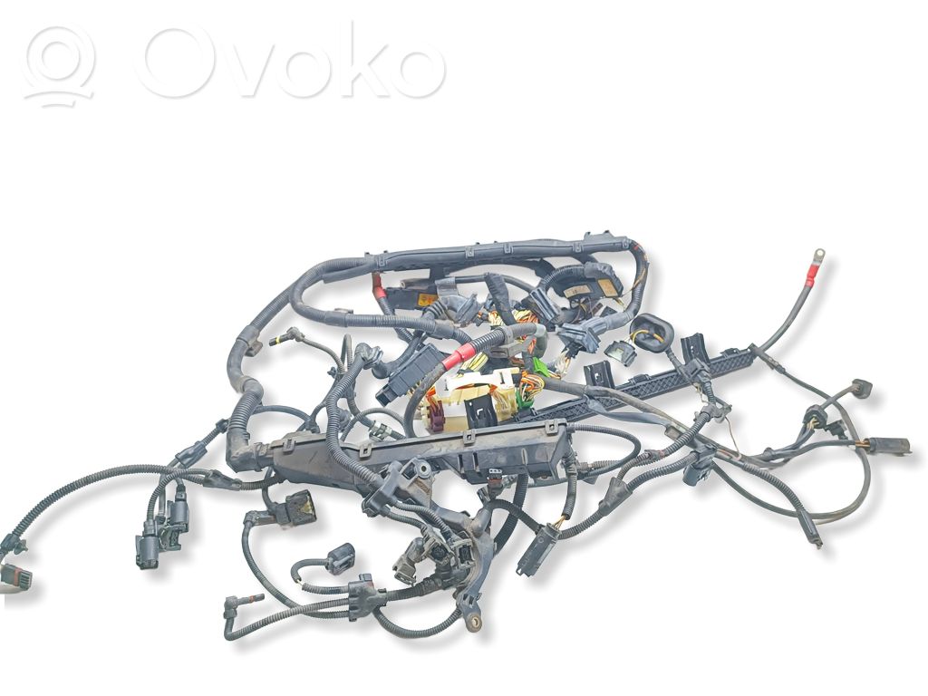 Engine installation wiring loom   7570541