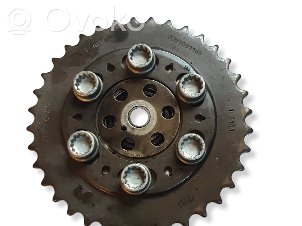 Timing chain sprocket   059109116G,059109171G