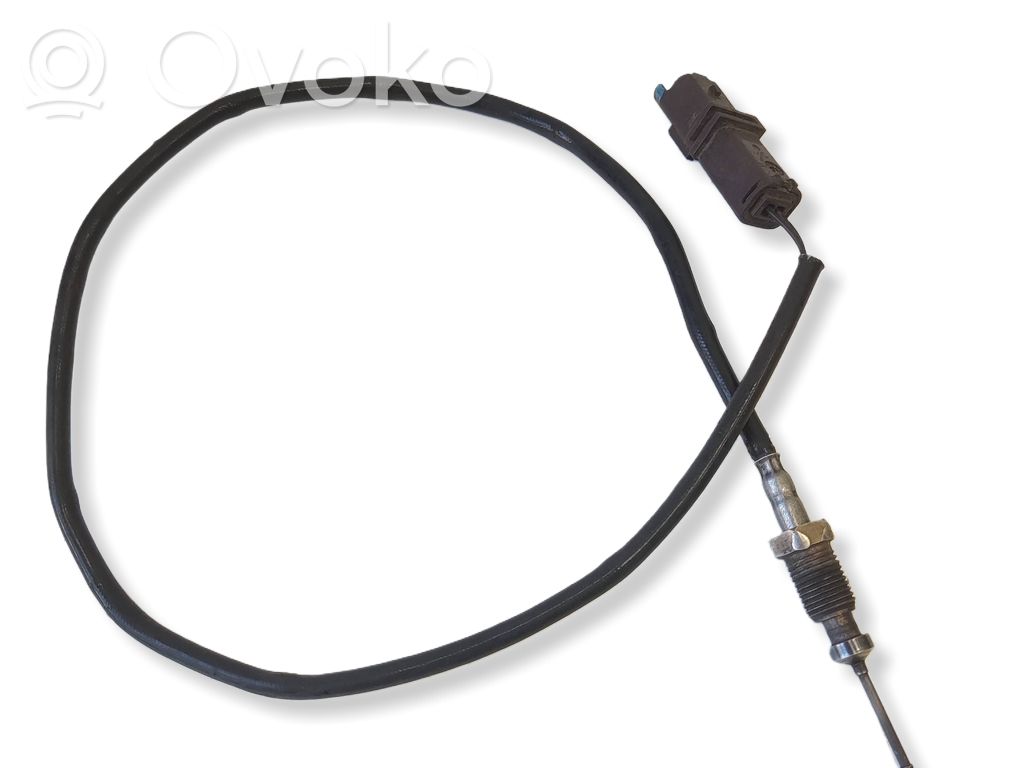 Peugeot 607 Exhaust gas temperature sensor 