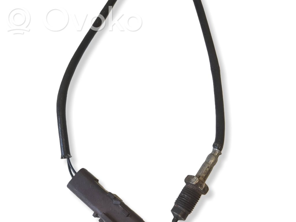Citroen C6 Exhaust gas temperature sensor 