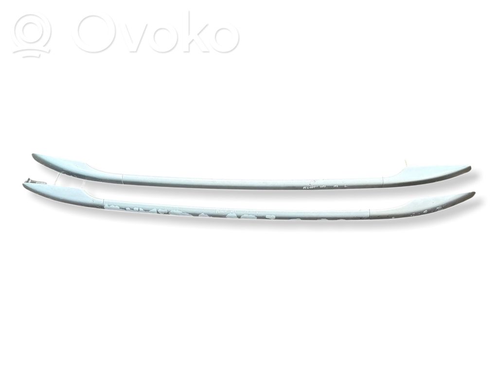 Peugeot 407 Dachreling Dachgepäckträger 