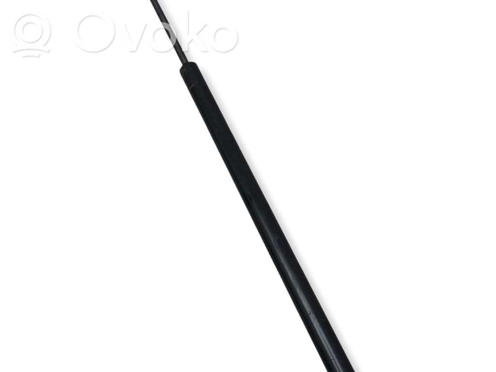 Jeep Compass Tailgate/trunk strut/damper 