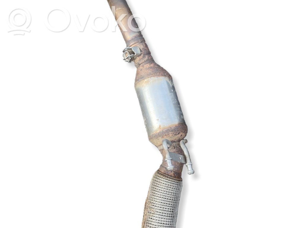 Volkswagen Tiguan Filtru de particule catalizator/FAP/DPF 