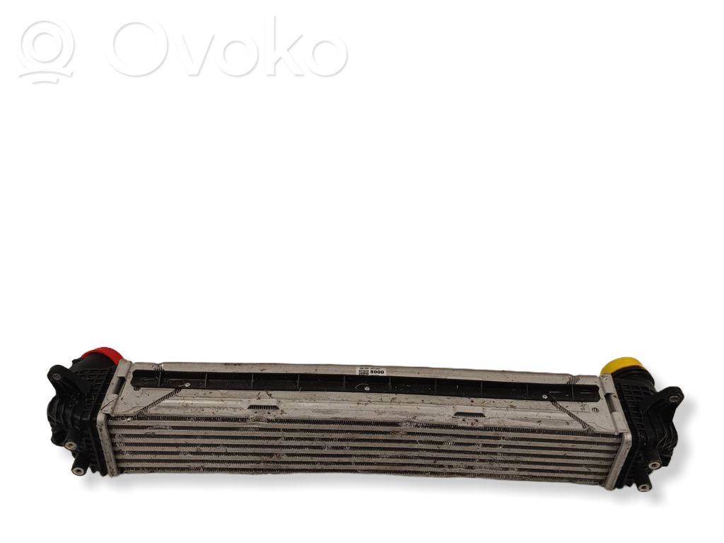 Intercooler radiator   2827008000,A10255524