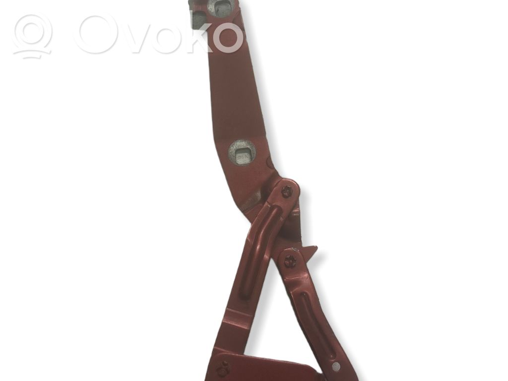 Renault Scenic II -  Grand scenic II Engine bonnet/hood hinges 