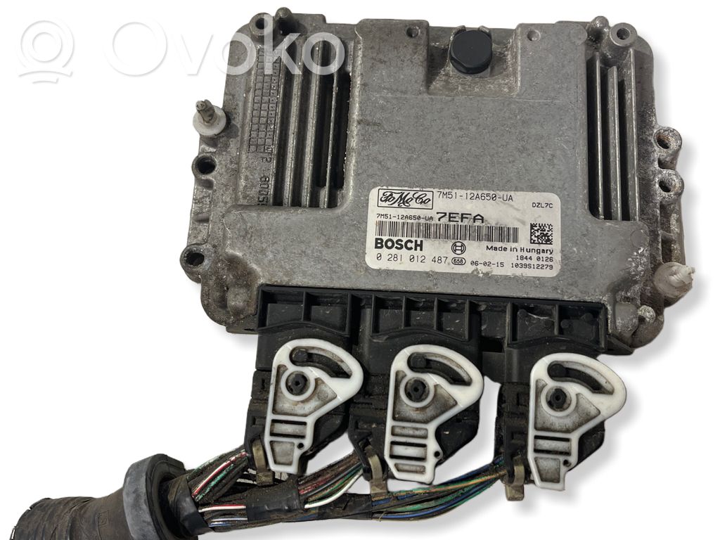 Ford Focus Engine control unit/module 