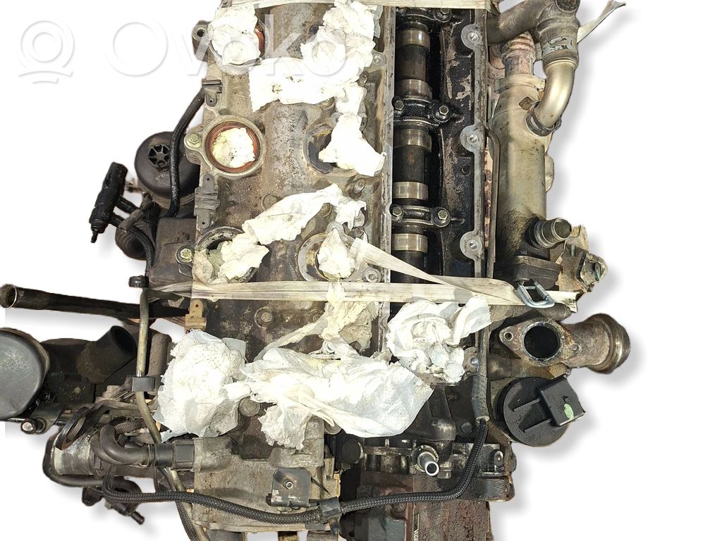 Engine   10DYTJ,4019460