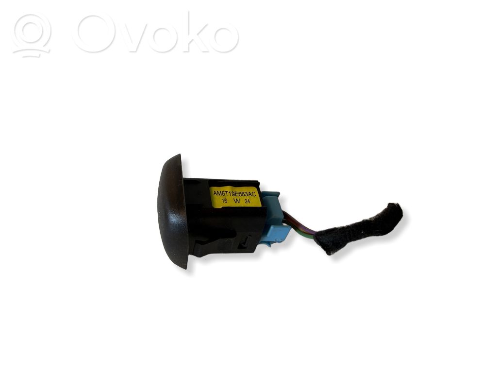 Ford Focus Gaismas sensors 