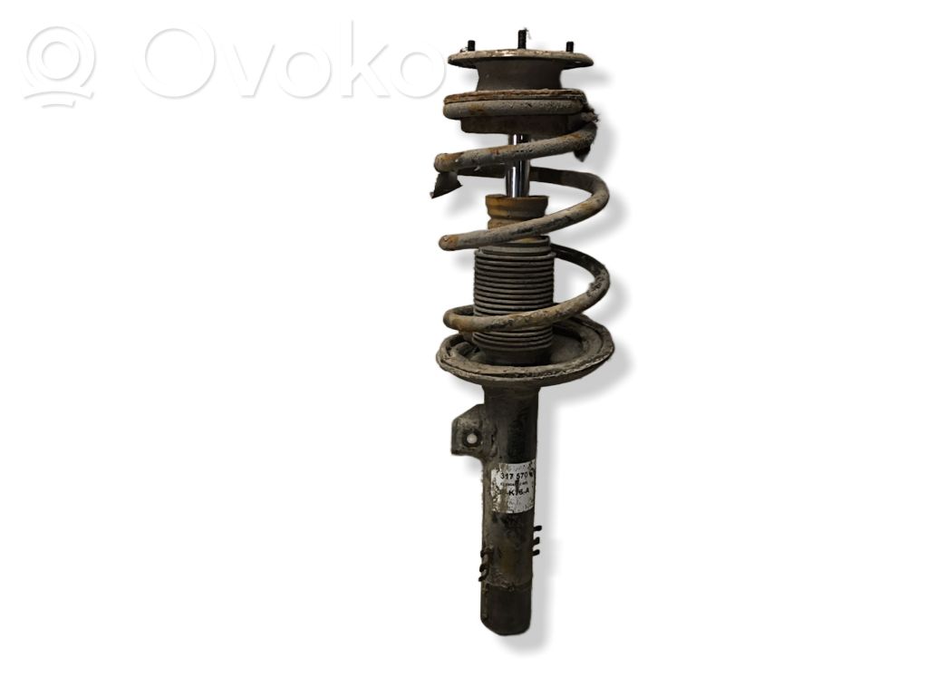 Front shock absorber with coil spring   317570
