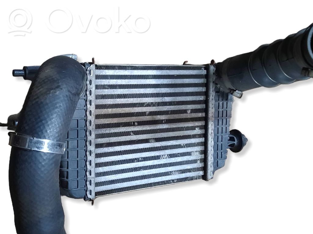 Interkūlerio radiatorius   144613HD0C