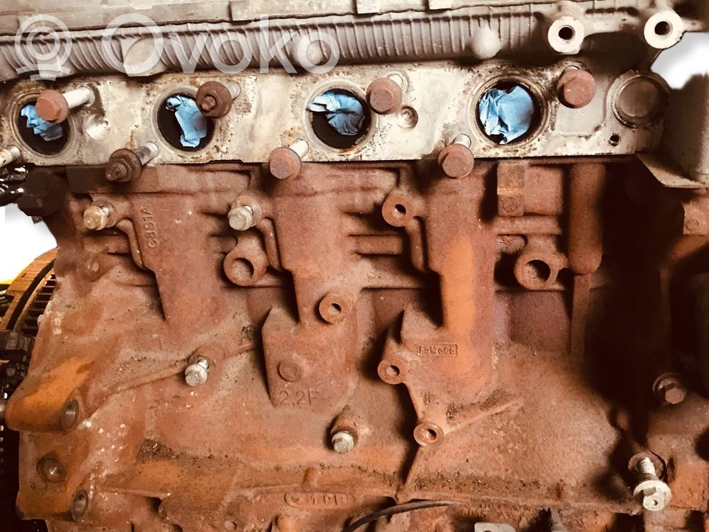 Engine   CYFB