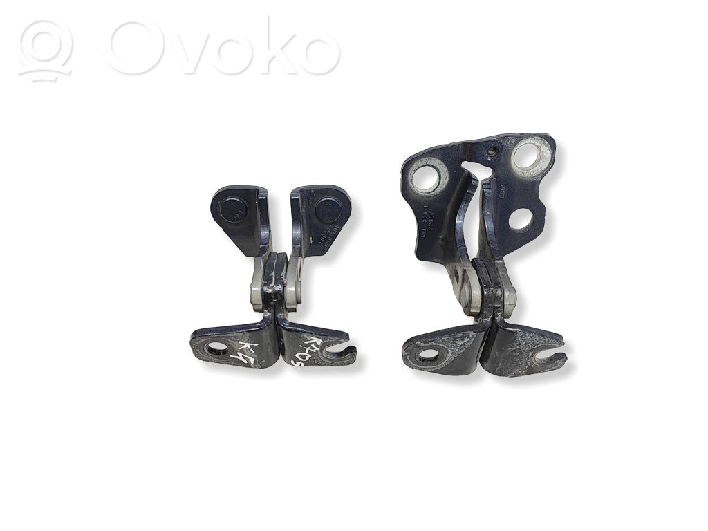 Rear door hinge set   RLL331F,22307