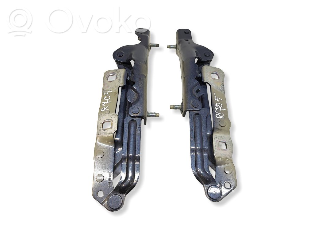 Tesla Model 3 Tailgate/trunk/boot hinge 