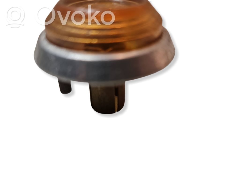 Seitenblinker   VAZ2101