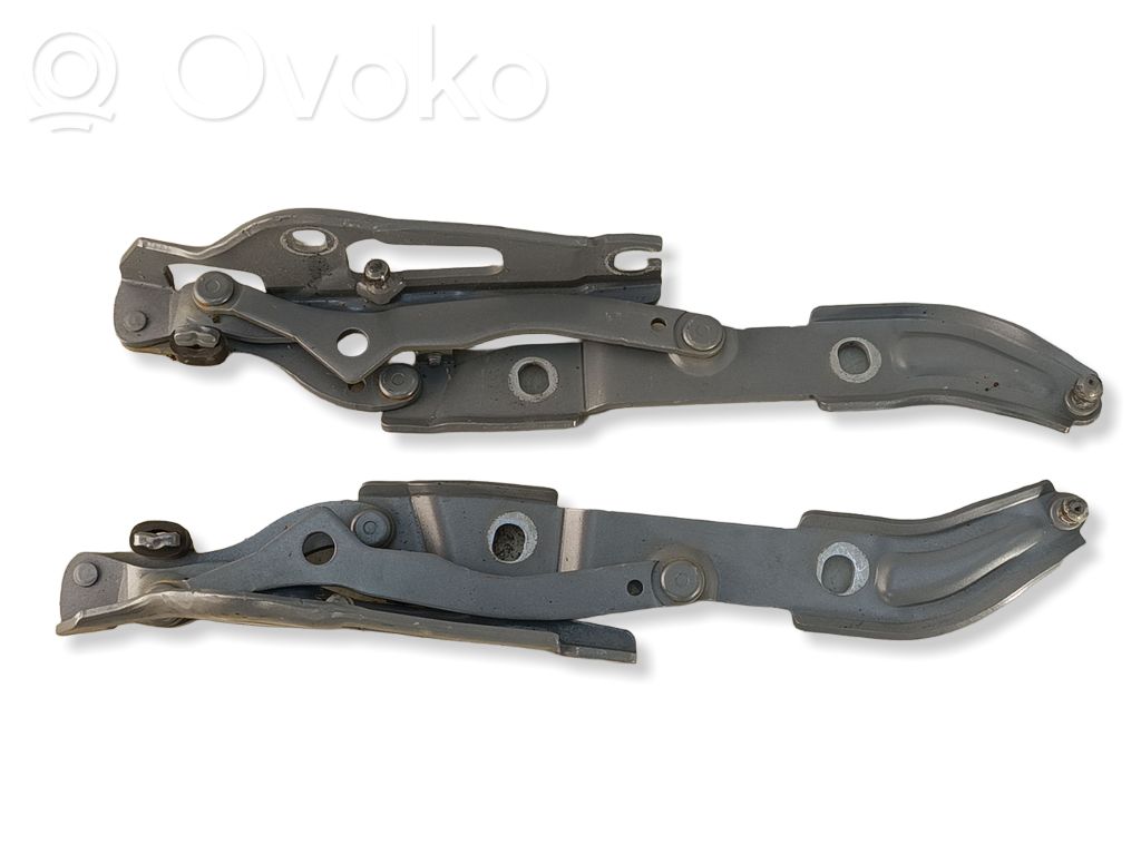 Tailgate/trunk/boot hinge   7060628,7060627,FS03