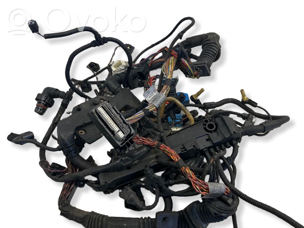 Engine installation wiring loom   7796491,EME89TC,7796491