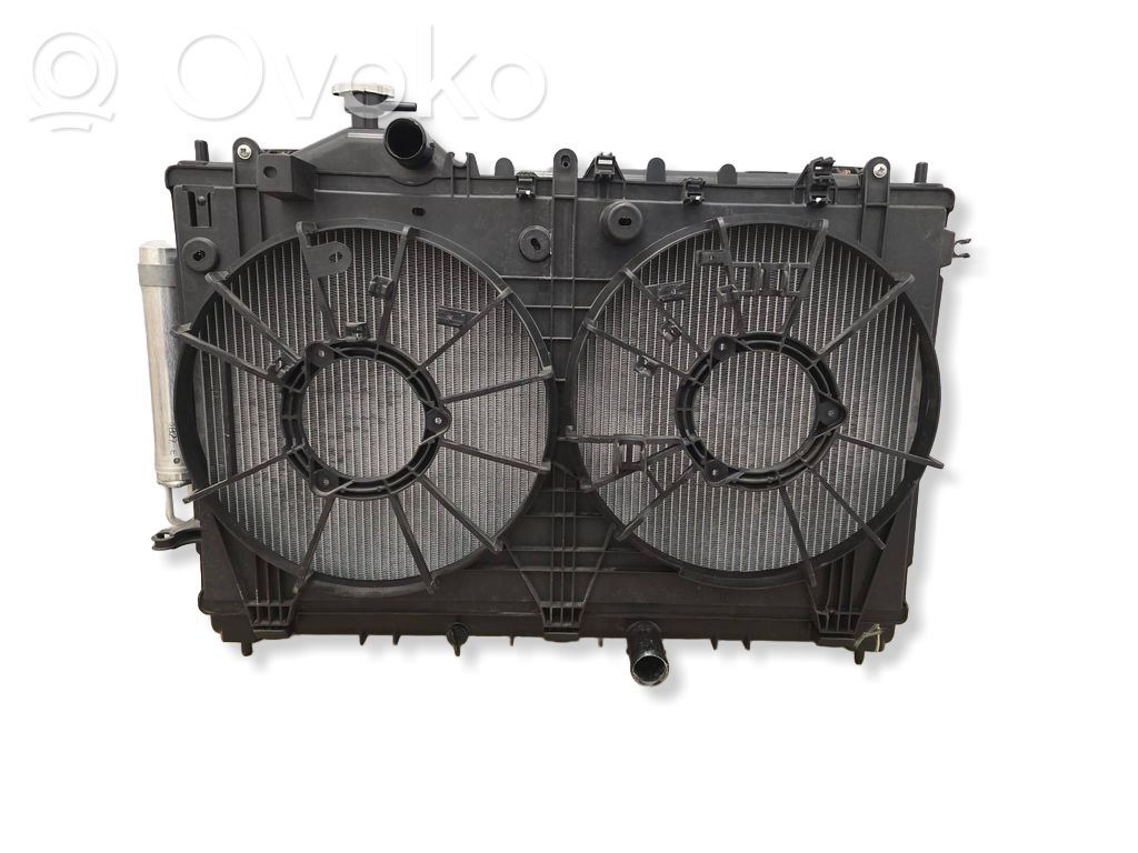 Radiator set   200309