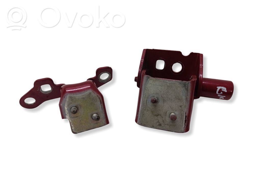 Renault Clio III Rear door hinge set 