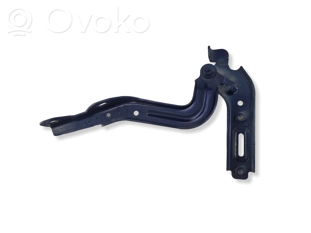 Chrysler Pacifica Engine bonnet/hood hinges 