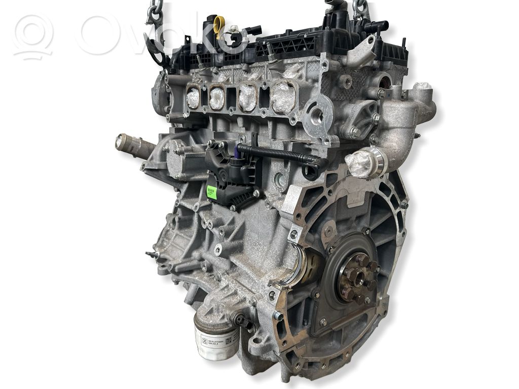Ford Galaxy Variklis 