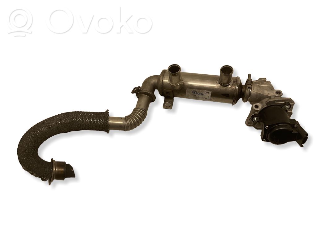 Citroen C4 I Picasso EGR aušintuvas 