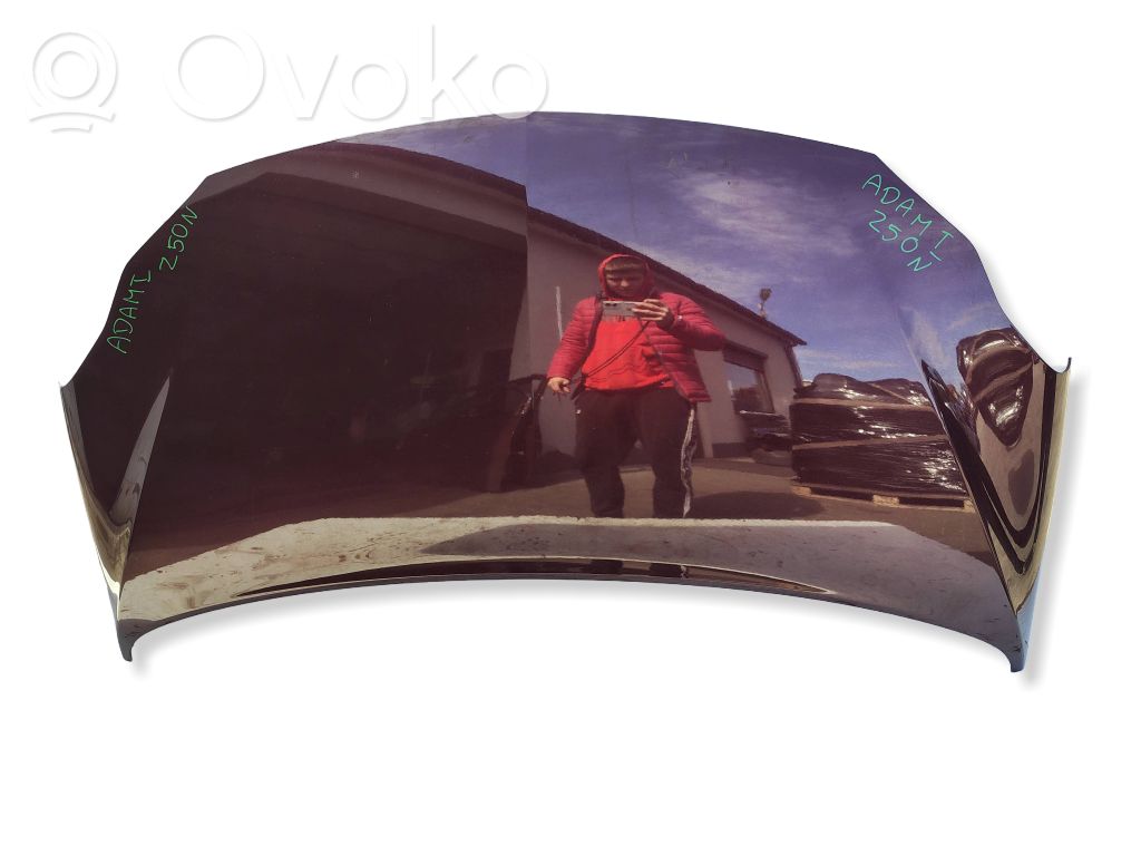 Motorhaube