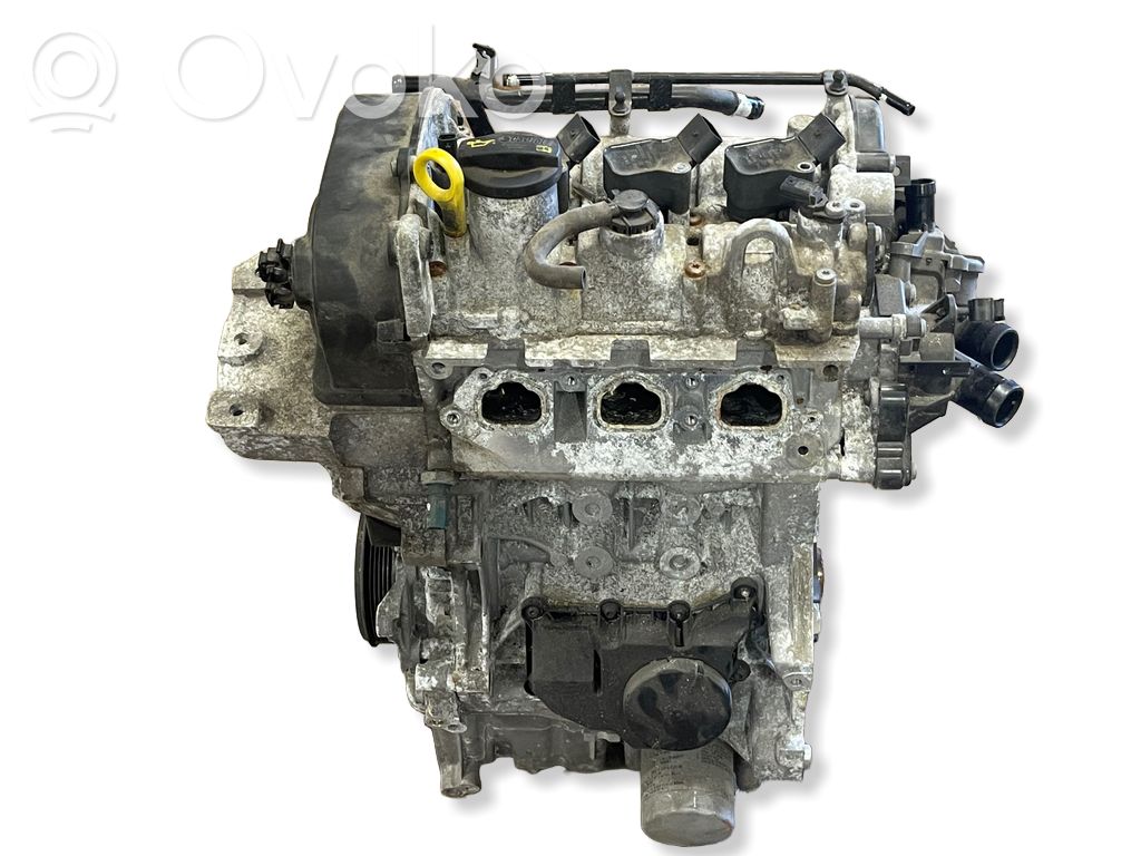 Volkswagen Polo V 6R Engine 