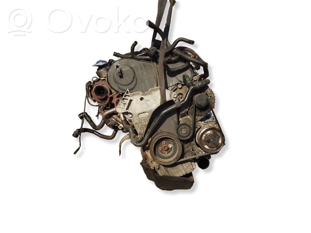 Motor   CFF