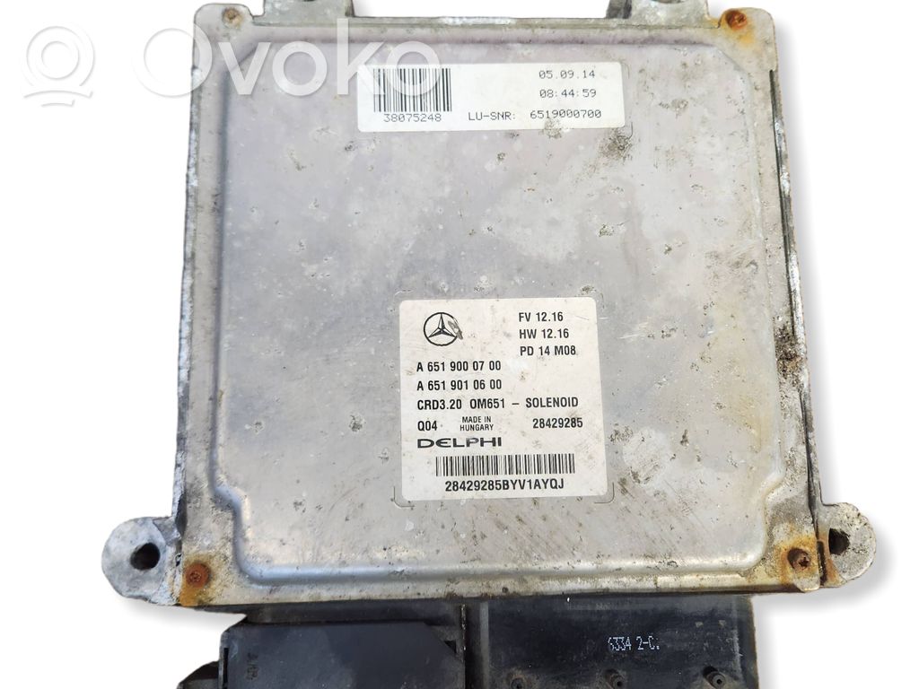 Engine control unit/module   A6519000700,28429285,A6519010600
