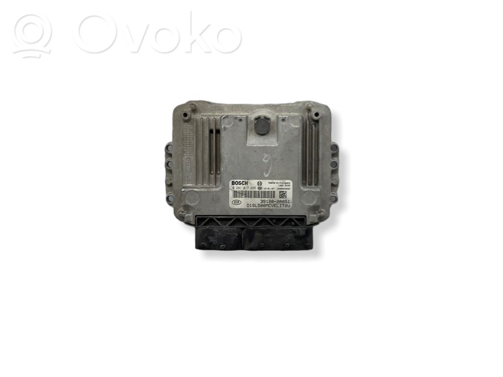 Engine control unit/module   0281017695,391202A051