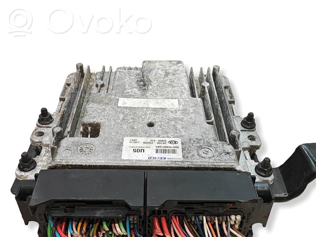 Engine control unit/module ECU   391002U205,9001230014KL,1C85217X,SM2K510