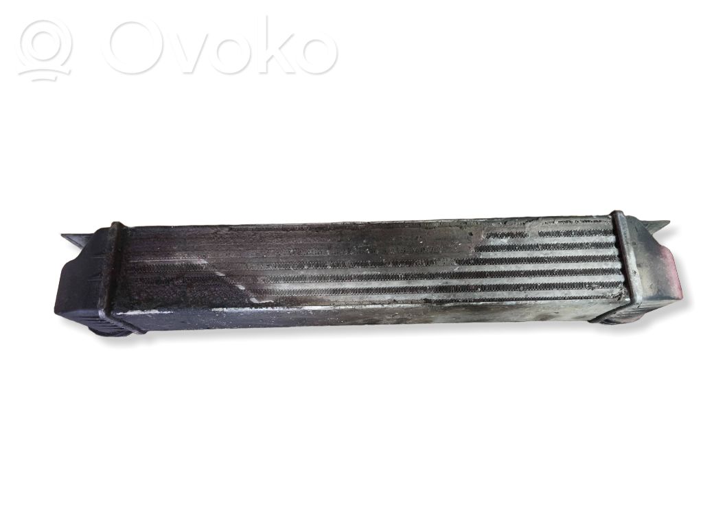BMW 5 E39 Interkūlerio radiatorius 