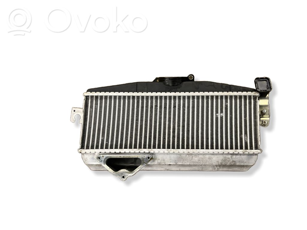 Radiador intercooler   21821AA100