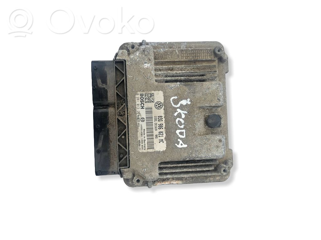 Skoda Octavia Mk2 (1Z) Engine control unit/module 