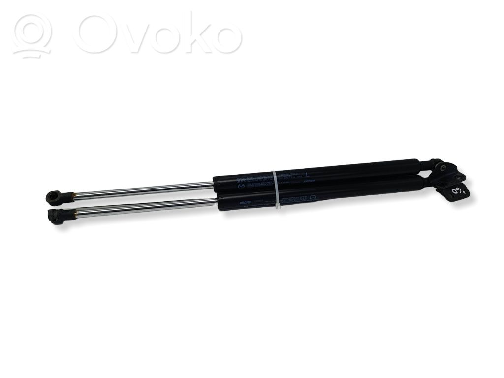 Tailgate/trunk strut/damper   GHP9,17C23AC2