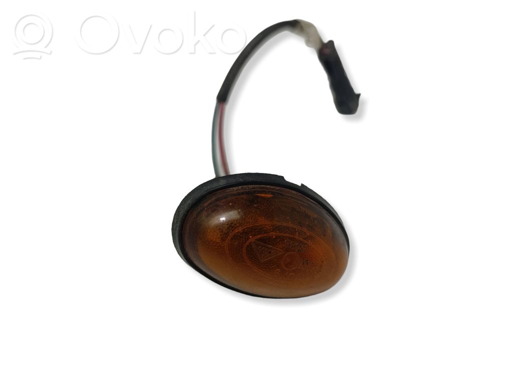 Front fender indicator light