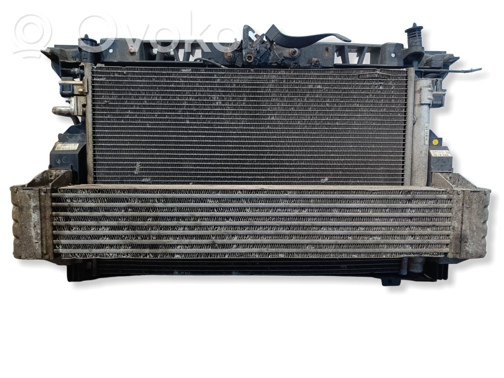 Citroen DS4 Radiatorių panelė 