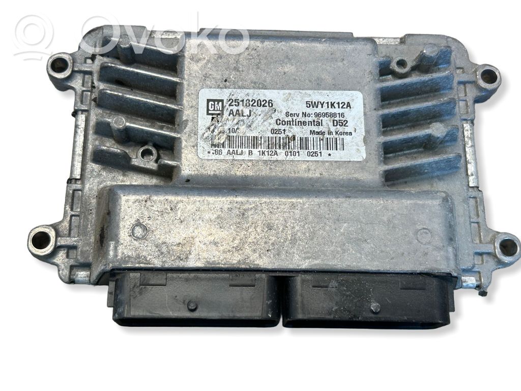 Chevrolet Spark Engine control unit/module 