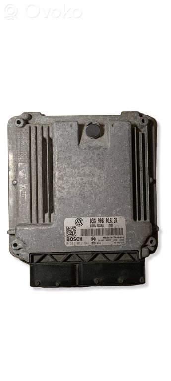 Volkswagen Golf Plus Engine control unit/module 