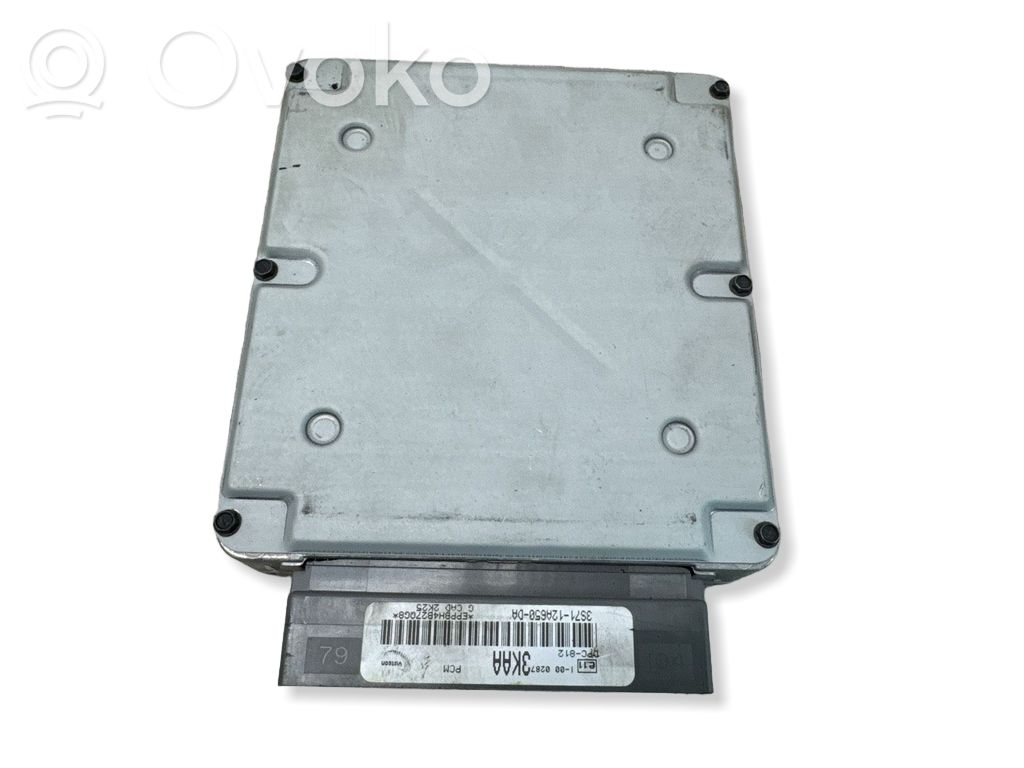 ZAZ 103 Engine control unit/module 