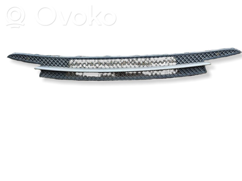 BMW 1 E81 E87 Front bumper lower grill 
