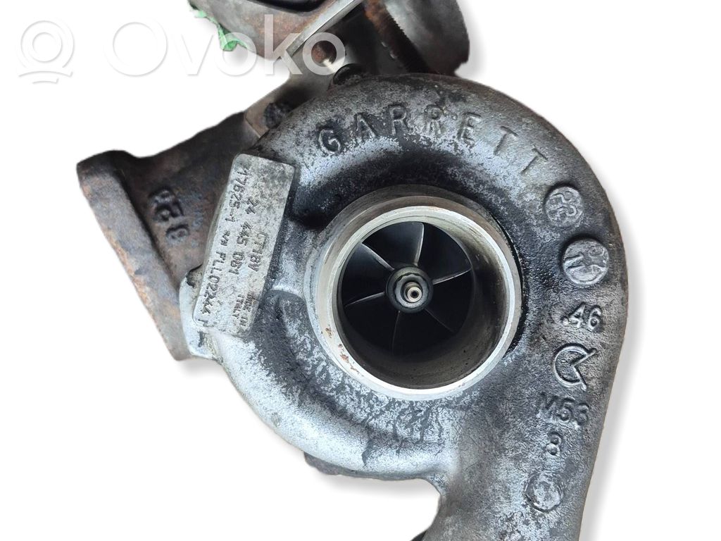 Turbina   24445061,176251